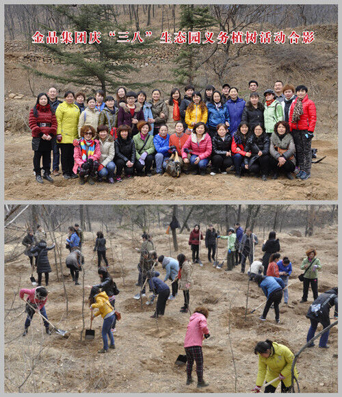 球速集团庆“三八”生态园义务植树